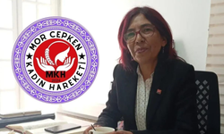 Tekin: 'Özellikle ekonomik kriz dönemlerinde fatura ilk olarak kadın emekçilere kesiliyor'