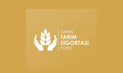 Büyükbaş hayvanlar için düşük tazminatı ödendi