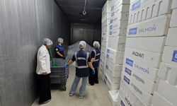 Değirmenlik Akıncılar Belediyesi ile Hayvancılık Dairesi'nden ortak denetim