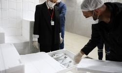 Değirmenlik Akıncılar Belediyesi Sağlık Şubesi 80 iş yerini denetledi, 775 ürün müsadere edildi