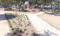 Girne Belediyesi'nden Baldöken Osmanlı Mezarlığı'na peyzaj düzenlemesi