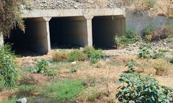 Lefke Çevre Derneği fosseptik sorununa çözüm istedi