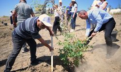 LTB, Haspolat'ta Endüstri Ormanı oluşturacak