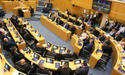 Rum Meclisi'nde komite dağılımı yapıldı, boşta kalan komiteler ELAM'a verildi