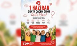 TDP: ' 1 Haziran; çocukların haklarının, ihtiyaçlarının ve sorunların konuşulması gereken bir gün'