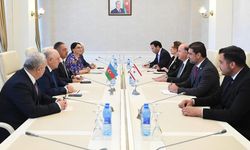 Sağlık Bakanı Dinçyürek, Azerbaycan'da temaslarda bulunuyor