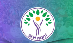 DEM Parti: 'Batan gemiyle ilgili TBMM'de araştırma komisyonu oluşturulması da dahil üzerimize düşeni yapacağız'