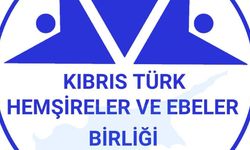 Hemşireler ve Ebeler Birliği, feribot faciası sonrası görev yapan tüm sağlık çalışanlarına teşekkür etti