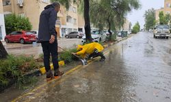 LTB: 'Lefkoşa bölgesinde 17 devrilen ağaç, 2 kanalizasyon taşması ve 1 elektrik direği devrilmesi ...'