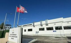 Dinçyürek: Devlet Laboratuvarı'nı açıyoruz