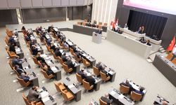 Kamu Mali Yönetimi ve Kontrol (Değişiklik) Yasa Tasarısı Meclis komitesinde görüşüldü