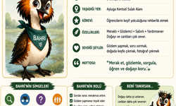 MAKAMER, öğretmenlere yönelik Ayluga Sulak Alanı eğitimi düzenliyor