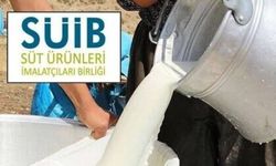 Süt Ürünleri İmalatçıları Birliği: Çiğ süte yüzde 7 oranında zam hayat pahalılığını artacak