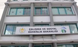 Çalışma Bakanlığı, Liomi Construction'daki işten durdurma iddialarıyla ilgili inceleme başlattı