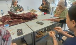 KADIN GİRİŞİMCİLİĞİ PROJESİ'NİN 8. DÖNEMİ MARAŞ'TA BAŞLADI