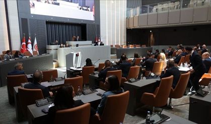 Meclis'te orman arazilerinin kiralanması konuşuldu