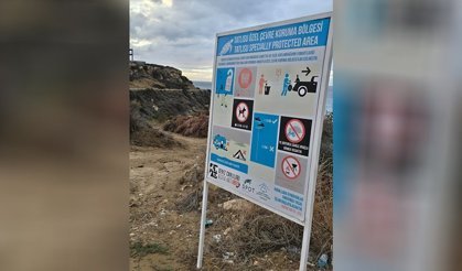 'Yuvalama sezonu öncesinde Kantara sahilinde önlem alın'