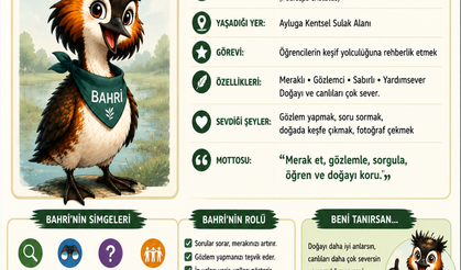 MAKAMER, öğretmenlere yönelik Ayluga Sulak Alanı eğitimi düzenliyor
