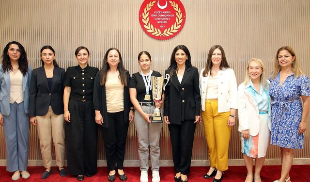 Meclis Başkan Yardımcısı Özdenefe bilardocu Ghaffari’yi kabul etti