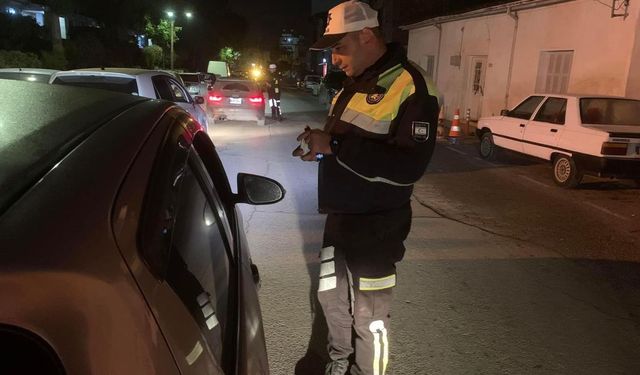 Asayiş ve trafik denetimleri