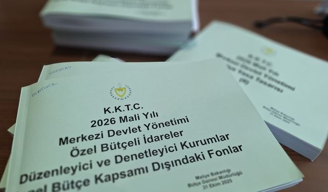 Bütçe maratonu sürüyor