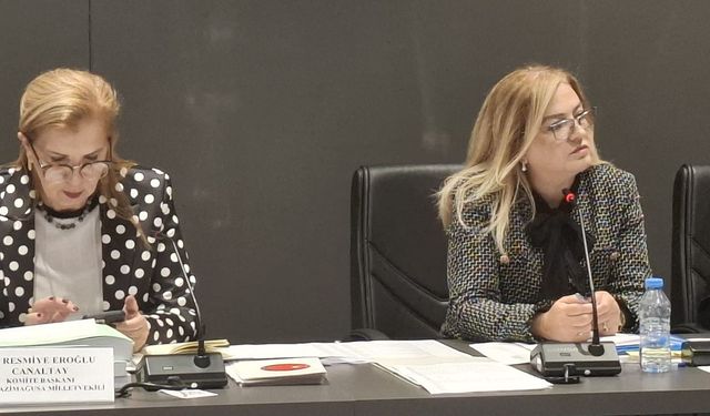 Ombudsman bütçesi oy birliğiyle kabul edildi