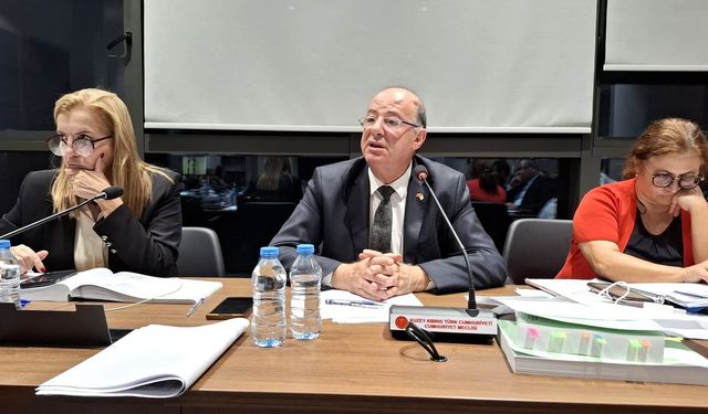 Sağlık Bakanlığı bütçesi oy çokluğuyla kabul edildi: