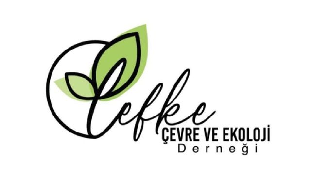 Lefke Çevre ve Ekoloji Derneği'nden başıboş köpeklerle ilgili acil çağrı