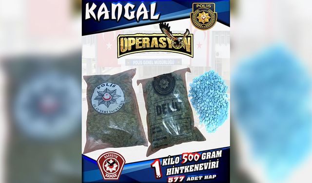 Polisten 'Kangal Operasyonu': Lokmacı'da 1,5 kilo hintkeneviri, hap ve toz madde ele geçirildi