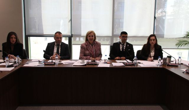 Ekonomi, Maliye, Bütçe ve Plan Komitesi motorlu araçlar ve pasaportlarla ilgili yasa değişikliklerini onayladı