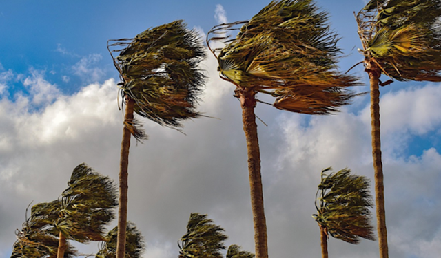 Hafta sonu yer yer fırtınamsı rüzgar bekleniyor: Sıcaklık 18-21 dolaylarında