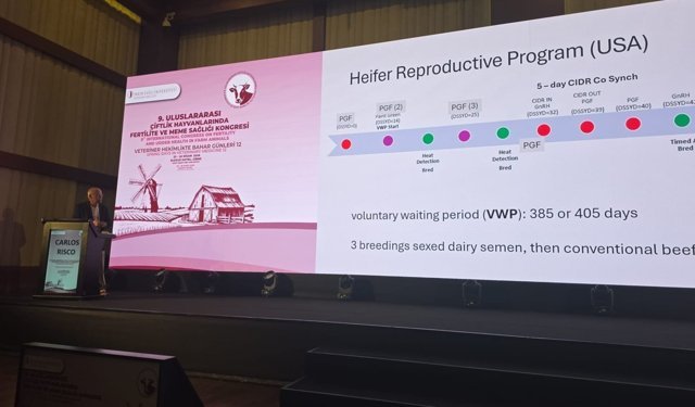 Çavuş: Bilim ve yenilik hayvancılığın geleceğini belirleyecek