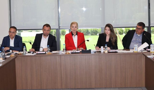 Ekonomi, Maliye, Bütçe ve Plan Komitesi bugün toplandı