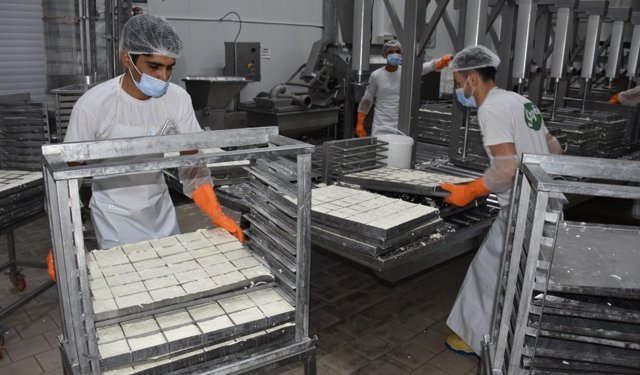 KTSO: 'Yeşil Hat üzerinden hellim ihracatındaki engel kalkıyor'