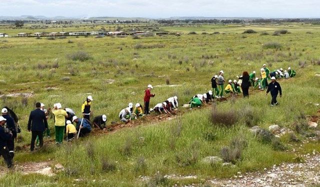 Mesarya bölgesinde 1000 fidan dikildi