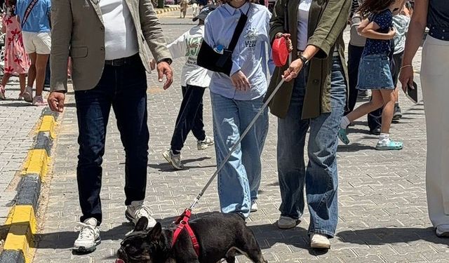 Alagadi'de evcil hayvanlar için festival düzenlendi
