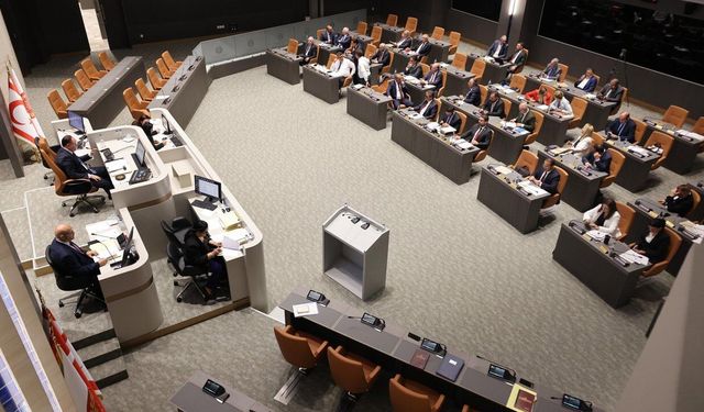 Meclis'te çalışma hayatı gündemi: Genel Kurul denetim oturumunda toplandı