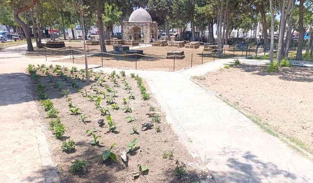 Girne Belediyesi'nden Baldöken Osmanlı Mezarlığı'na peyzaj düzenlemesi