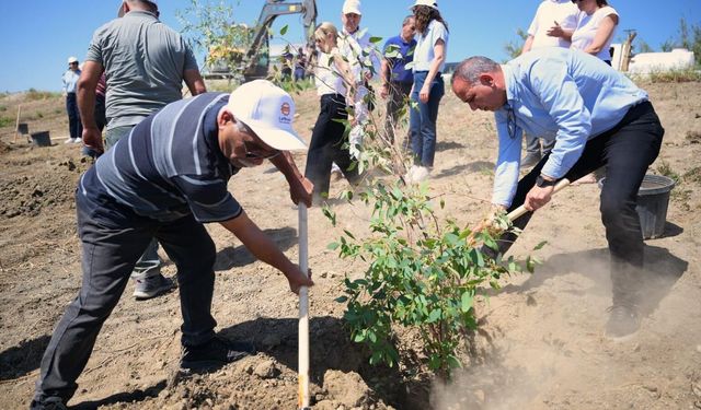 LTB, Haspolat'ta Endüstri Ormanı oluşturacak