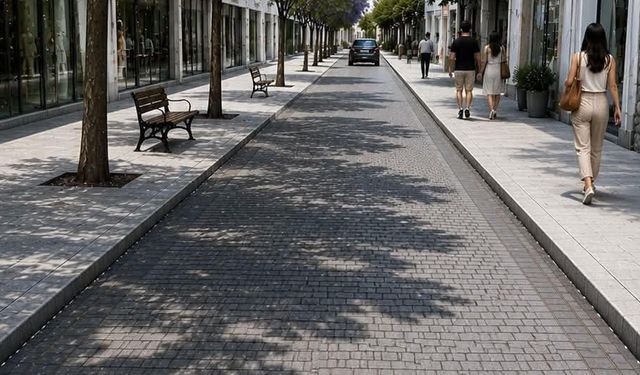 Şenkul, Ziya Rızkı Çarşı Projesi kapsamında caddedeki ağaçların sökülerek taşındığını söyledi