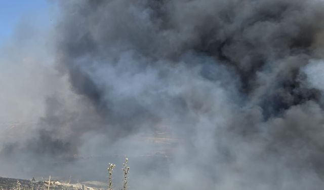 Lefkoşa ve Hamitköy'de yangın...