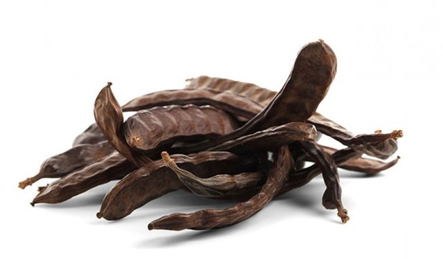 Lefke'de harup ve erkenci zeytin hasadı 24 Ağustos, yerli zeytin hasadı 14 Eylül'de...