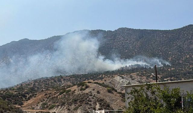 Tirmen'de yangın
