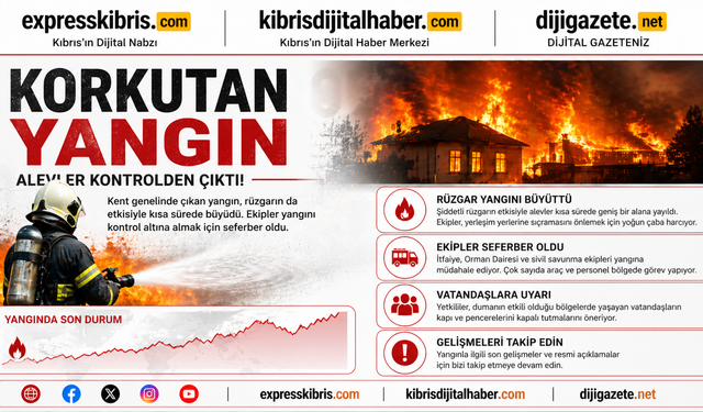Muratağa-Sandallar Şehitliği yanında arazi yangını: 40 çam ağacı yandı