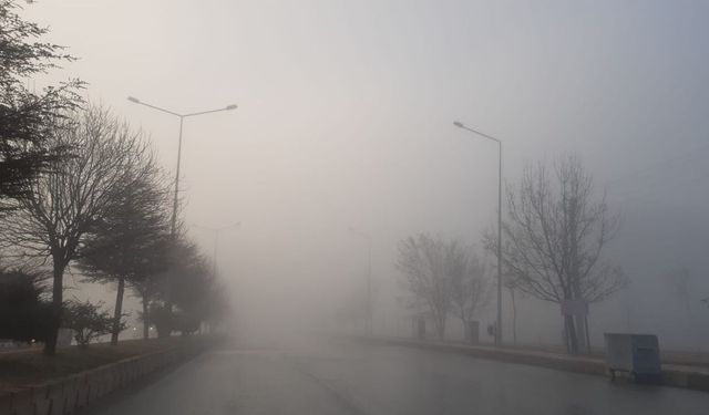 Pazar, pazartesi ve salı günleri sabah saatleri yer yer sis bekleniyor