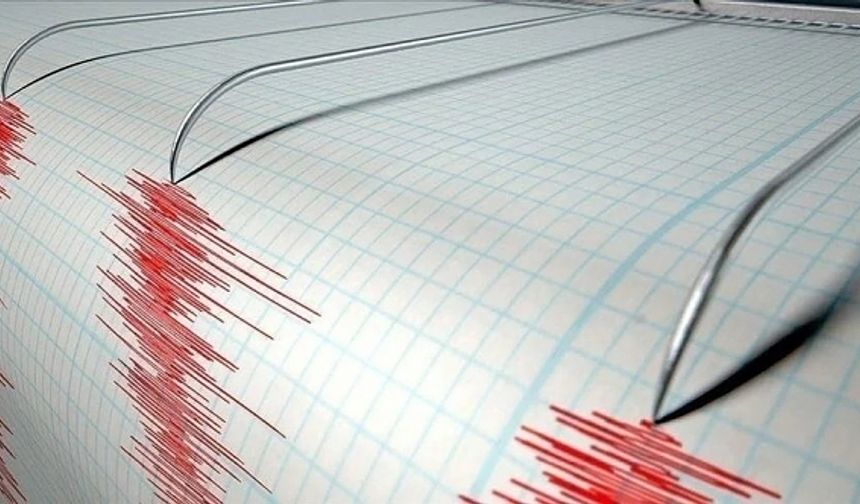 Japonya'nın güneybatısındaki Ogasawara Adaları açıklarında 6,9 büyüklüğünde deprem