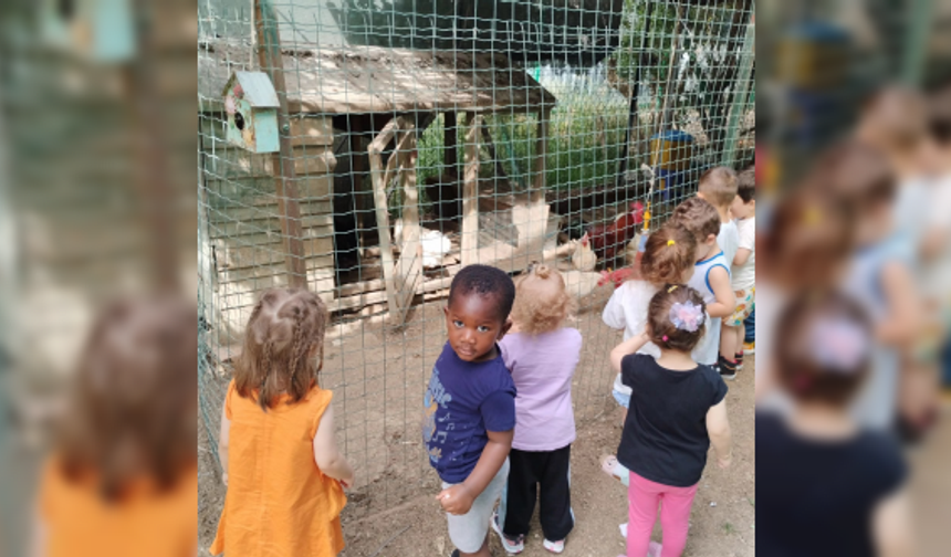Tohum Kids Kreş ve Anaokulu: Doğayla İç İçe Eğitim