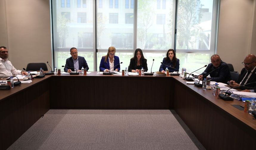 Ekonomi, Maliye, Bütçe ve Plan Komitesi bugün sigorta yasa tasarılarını görüştü
