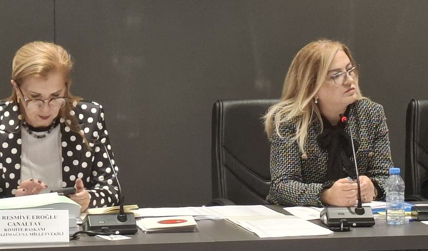 Ombudsman bütçesi oy birliğiyle kabul edildi