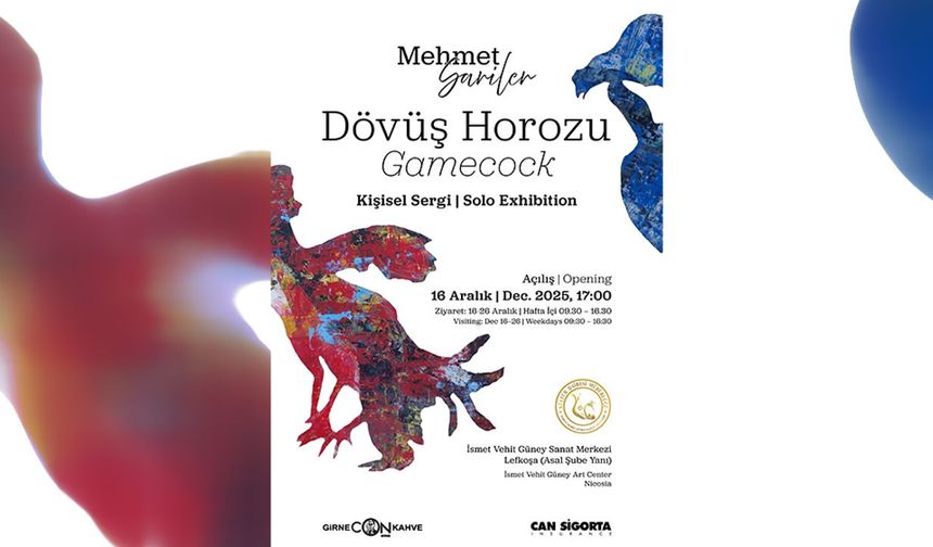 Mehmet Sariler'in 'Dövüş Horozu' isimli kişisel sergisi 16 Aralık'ta...